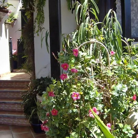 Aptos Monasterio De San Antonio 3 إيكود ذي لوس فينوس