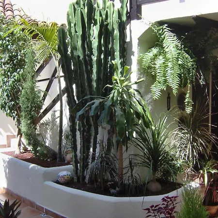 Aptos Monasterio De San Antonio 3 Appartement Icod De Los Vinos