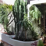 Aptos Monasterio De San Antonio 3 شقة إيكود ذي لوس فينوس